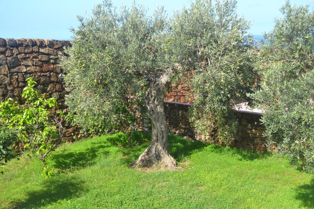 Agriturismo Zinedi Villa Pantelleria Eksteriør bilde